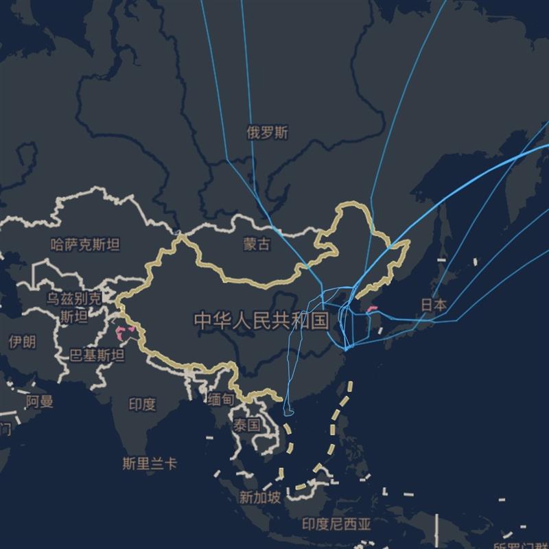 As an immigrant from China. I often need to fly back from Canada to visit my family and friends. Luckily, I have flight recording software that generates a map of my routes with the date, distance, and length of the flight. Although these are cold numbers, each route reminds me of each trip, the people I met along the way, the time I spent with friends and family back in China, and how much I miss my family.
