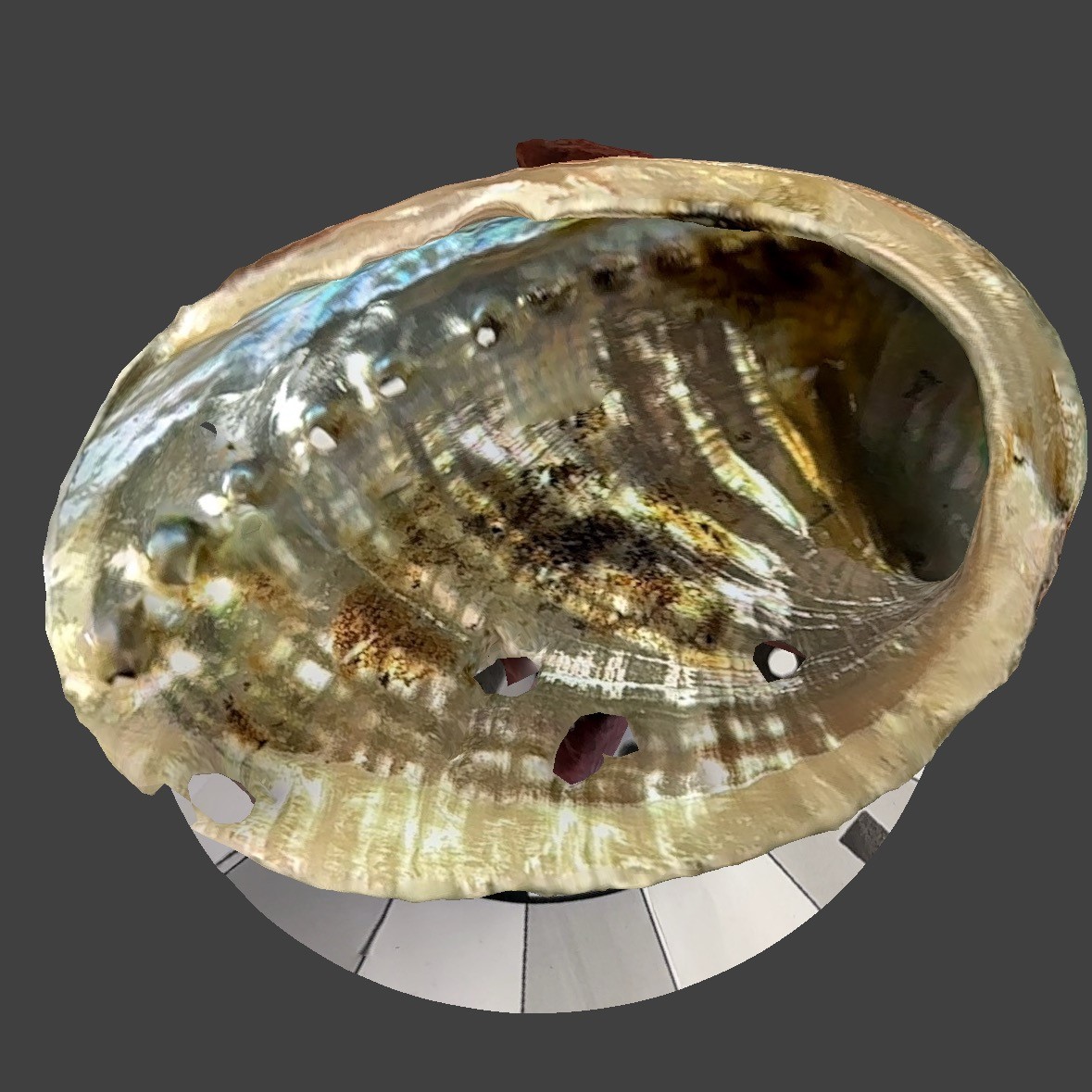 On the third scan, I covered the abalone shell with a piece of paper to try to minimize reflections. You can see the results are better than the first two. I'm considering putting it into a Meshbox for further repair.